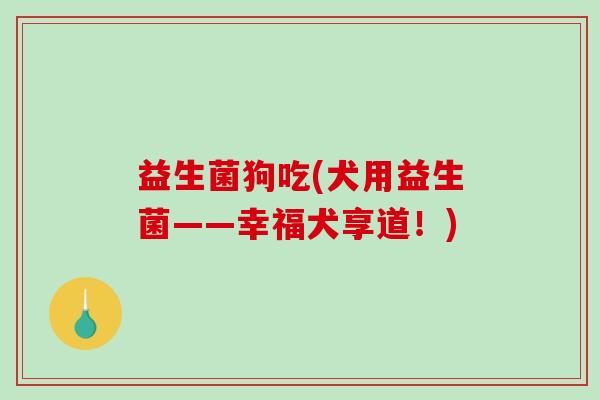 益生菌狗吃(犬用益生菌——幸福犬享道！)