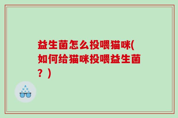 益生菌怎么投喂猫咪(如何给猫咪投喂益生菌？)