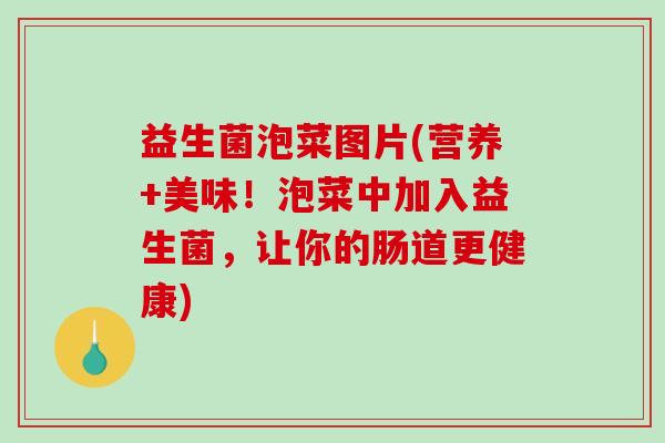 益生菌泡菜图片(营养+美味！泡菜中加入益生菌，让你的肠道更健康)
