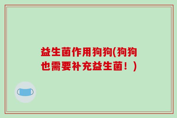益生菌作用狗狗(狗狗也需要补充益生菌！)