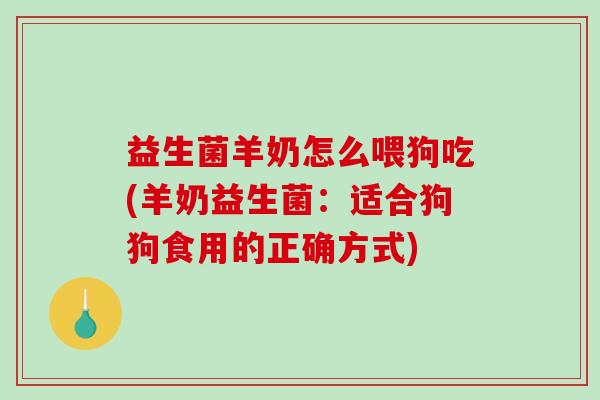 益生菌羊奶怎么喂狗吃(羊奶益生菌：适合狗狗食用的正确方式)