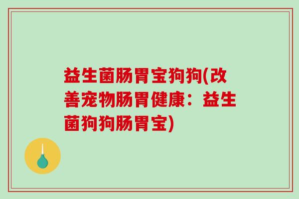 益生菌肠胃宝狗狗(改善宠物肠胃健康：益生菌狗狗肠胃宝)