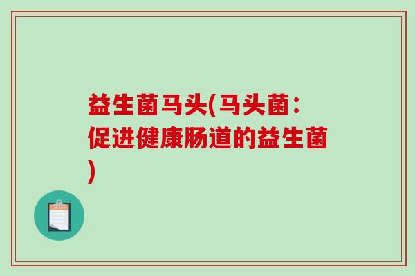 益生菌马头(马头菌：促进健康肠道的益生菌)