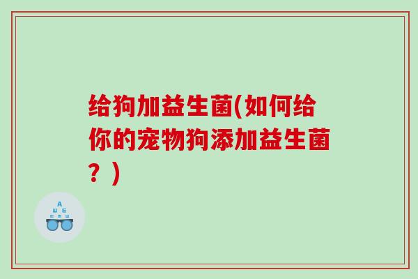 给狗加益生菌(如何给你的宠物狗添加益生菌？)