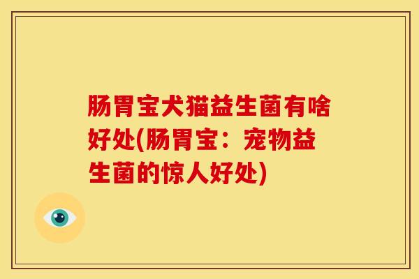 肠胃宝犬猫益生菌有啥好处(肠胃宝：宠物益生菌的惊人好处)