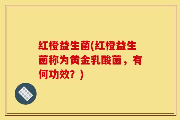 红橙益生菌(红橙益生菌称为黄金乳酸菌，有何功效？)