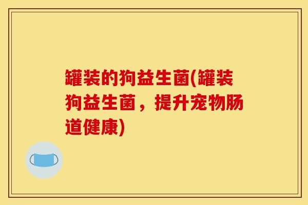 罐装的狗益生菌(罐装狗益生菌，提升宠物肠道健康)
