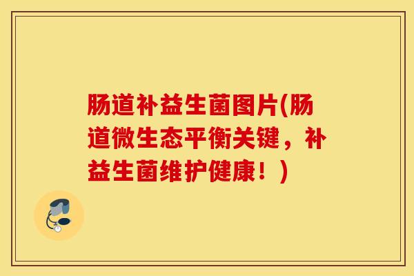 肠道补益生菌图片(肠道微生态平衡关键，补益生菌维护健康！)