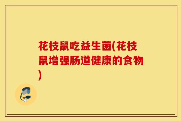 花枝鼠吃益生菌(花枝鼠增强肠道健康的食物)