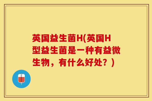 英国益生菌H(英国H型益生菌是一种有益微生物，有什么好处？)