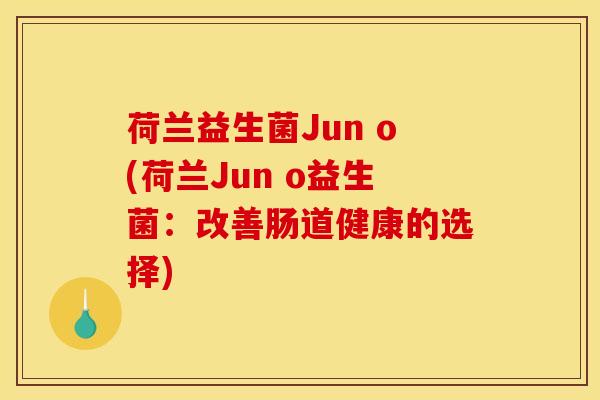荷兰益生菌Jun o(荷兰Jun o益生菌：改善肠道健康的选择)