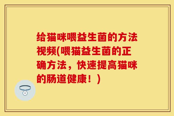 给猫咪喂益生菌的方法视频(喂猫益生菌的正确方法，快速提高猫咪的肠道健康！)