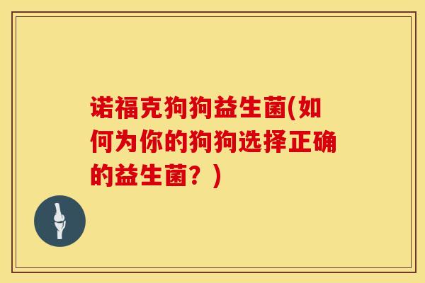 诺福克狗狗益生菌(如何为你的狗狗选择正确的益生菌？)