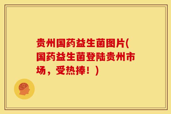 贵州国药益生菌图片(国药益生菌登陆贵州市场，受热捧！)