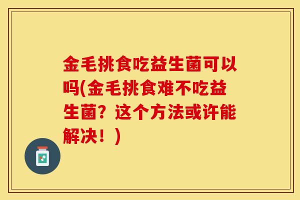 金毛挑食吃益生菌可以吗(金毛挑食难不吃益生菌？这个方法或许能解决！)