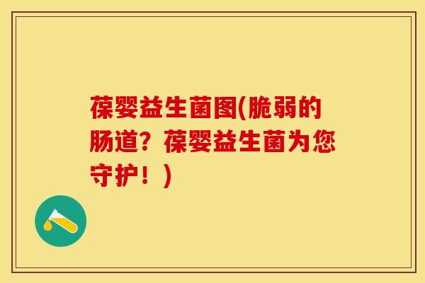 葆婴益生菌图(脆弱的肠道？葆婴益生菌为您守护！)