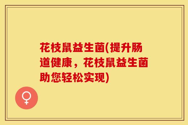 花枝鼠益生菌(提升肠道健康，花枝鼠益生菌助您轻松实现)
