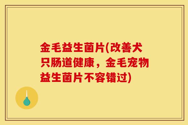 金毛益生菌片(改善犬只肠道健康，金毛宠物益生菌片不容错过)
