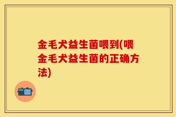 金毛犬益生菌喂到(喂金毛犬益生菌的正确方法)