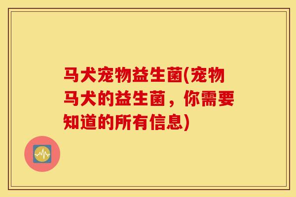 马犬宠物益生菌(宠物马犬的益生菌，你需要知道的所有信息)