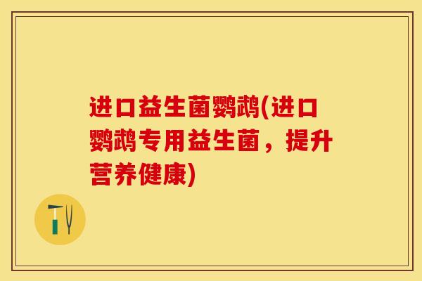 进口益生菌鹦鹉(进口鹦鹉专用益生菌，提升营养健康)