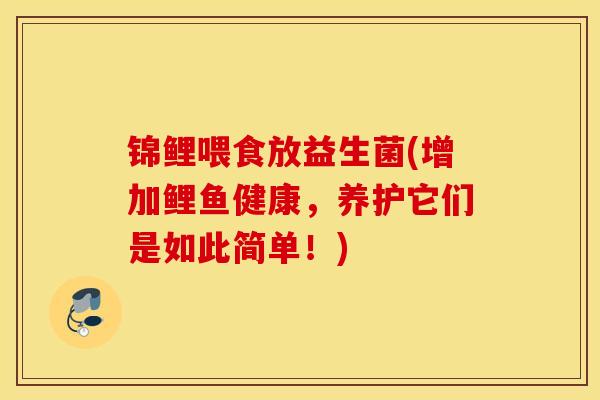 锦鲤喂食放益生菌(增加鲤鱼健康，养护它们是如此简单！)