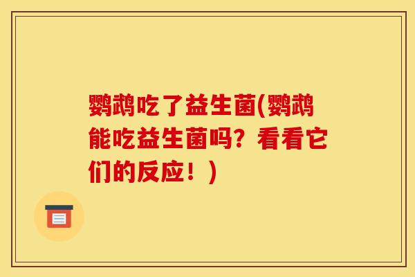 鹦鹉吃了益生菌(鹦鹉能吃益生菌吗？看看它们的反应！)