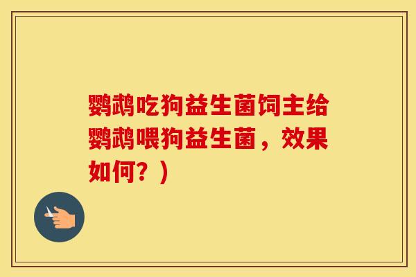 鹦鹉吃狗益生菌饲主给鹦鹉喂狗益生菌，效果如何？)