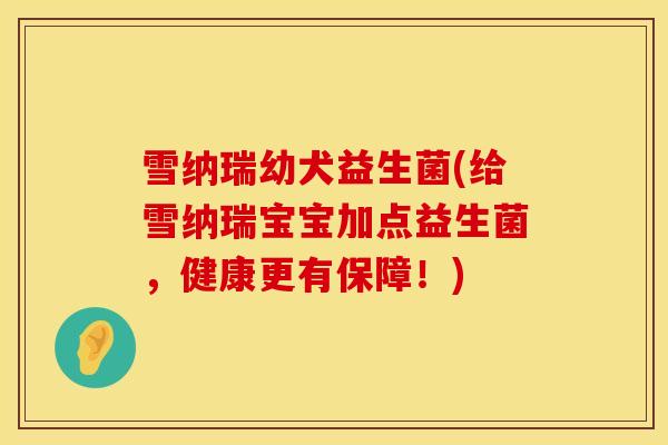 雪纳瑞幼犬益生菌(给雪纳瑞宝宝加点益生菌，健康更有保障！)