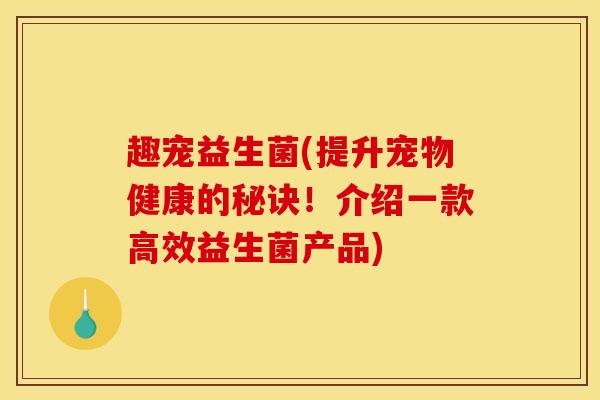 趣宠益生菌(提升宠物健康的秘诀！介绍一款高效益生菌产品)