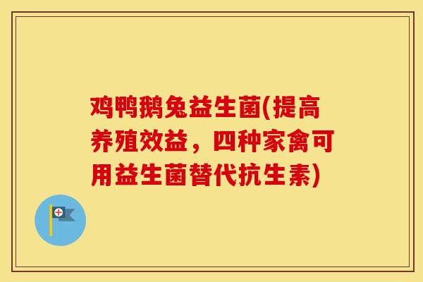 鸡鸭鹅兔益生菌(提高养殖效益，四种家禽可用益生菌替代抗生素)