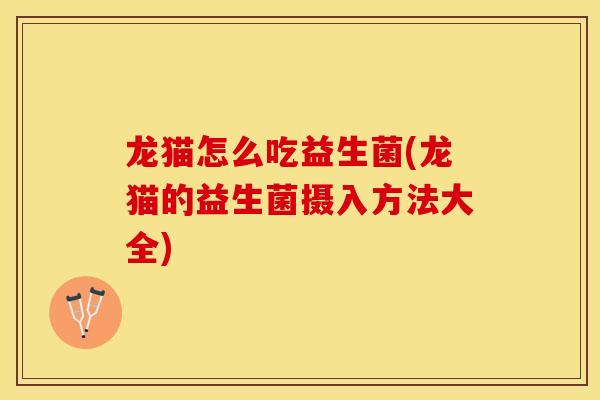 龙猫怎么吃益生菌(龙猫的益生菌摄入方法大全)