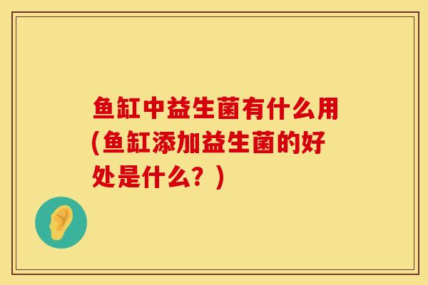 鱼缸中益生菌有什么用(鱼缸添加益生菌的好处是什么？)