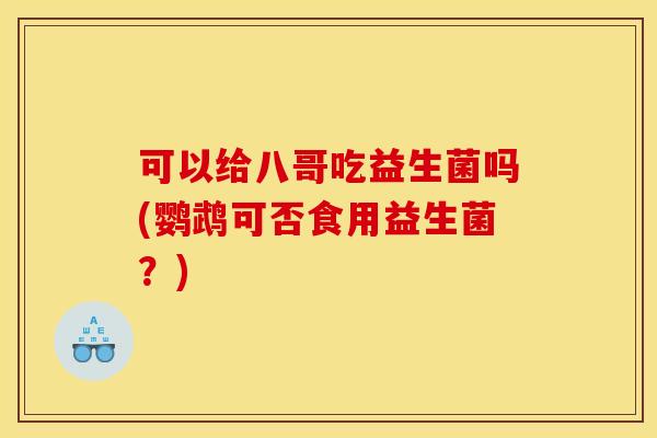 可以给八哥吃益生菌吗(鹦鹉可否食用益生菌？)