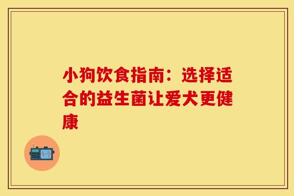 小狗饮食指南：选择适合的益生菌让爱犬更健康