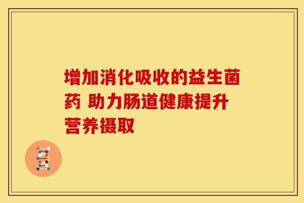 增加消化吸收的益生菌药 助力肠道健康提升营养摄取