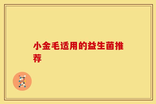 小金毛适用的益生菌推荐