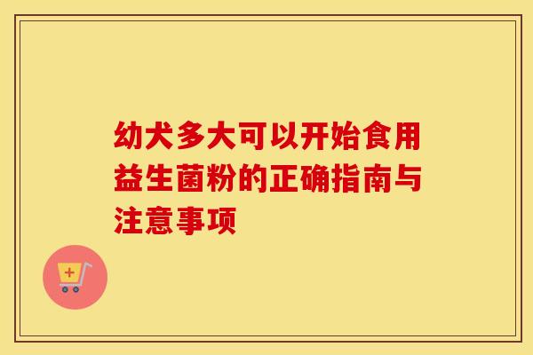 幼犬多大可以开始食用益生菌粉的正确指南与注意事项