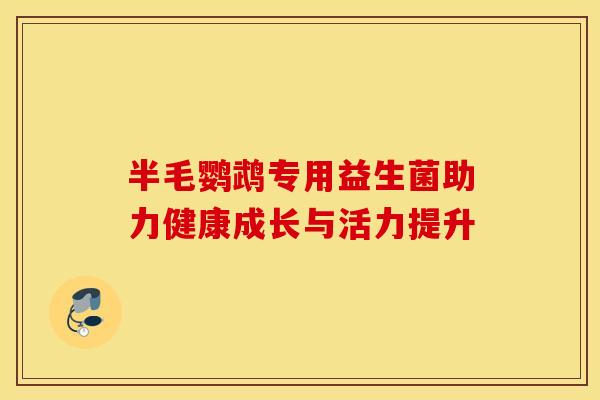 半毛鹦鹉专用益生菌助力健康成长与活力提升