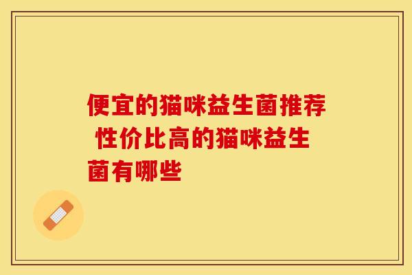 便宜的猫咪益生菌推荐 性价比高的猫咪益生菌有哪些