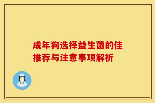 成年狗选择益生菌的佳推荐与注意事项解析