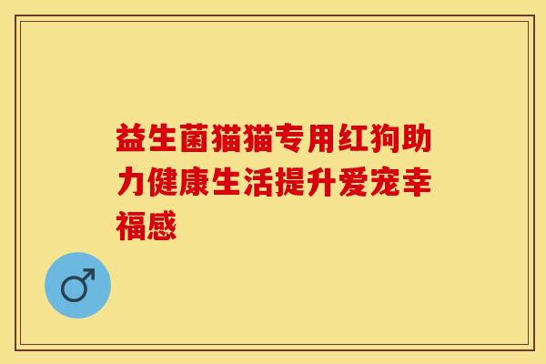 益生菌猫猫专用红狗助力健康生活提升爱宠幸福感