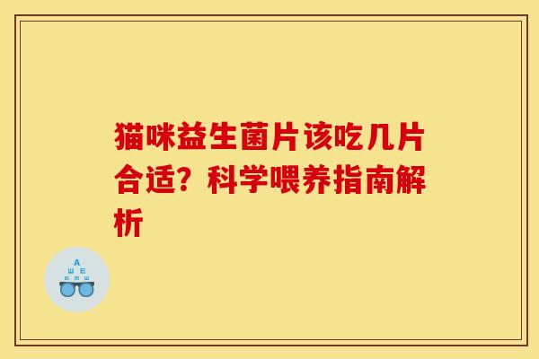 猫咪益生菌片该吃几片合适？科学喂养指南解析