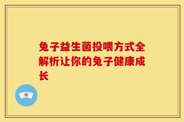 兔子益生菌投喂方式全解析让你的兔子健康成长