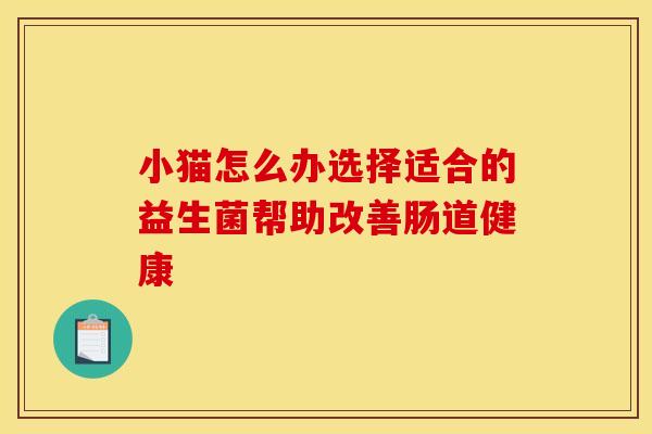 小猫怎么办选择适合的益生菌帮助改善肠道健康