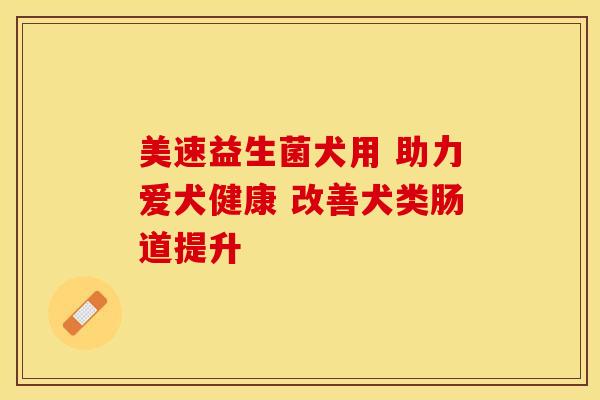 美速益生菌犬用 助力爱犬健康 改善犬类肠道提升