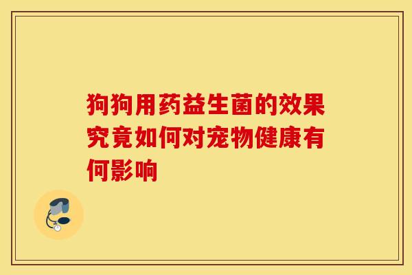狗狗用药益生菌的效果究竟如何对宠物健康有何影响