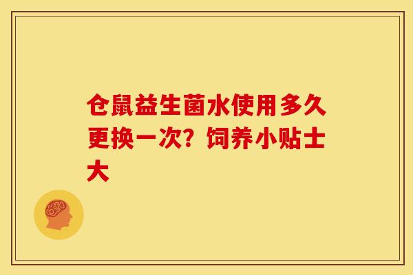 仓鼠益生菌水使用多久更换一次？饲养小贴士大