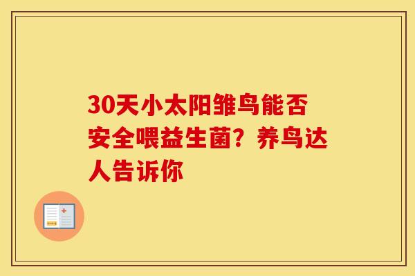 30天小太阳雏鸟能否安全喂益生菌？养鸟达人告诉你