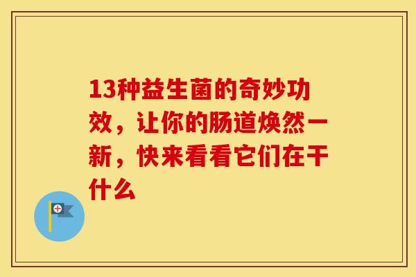 13种益生菌的奇妙功效，让你的肠道焕然一新，快来看看它们在干什么